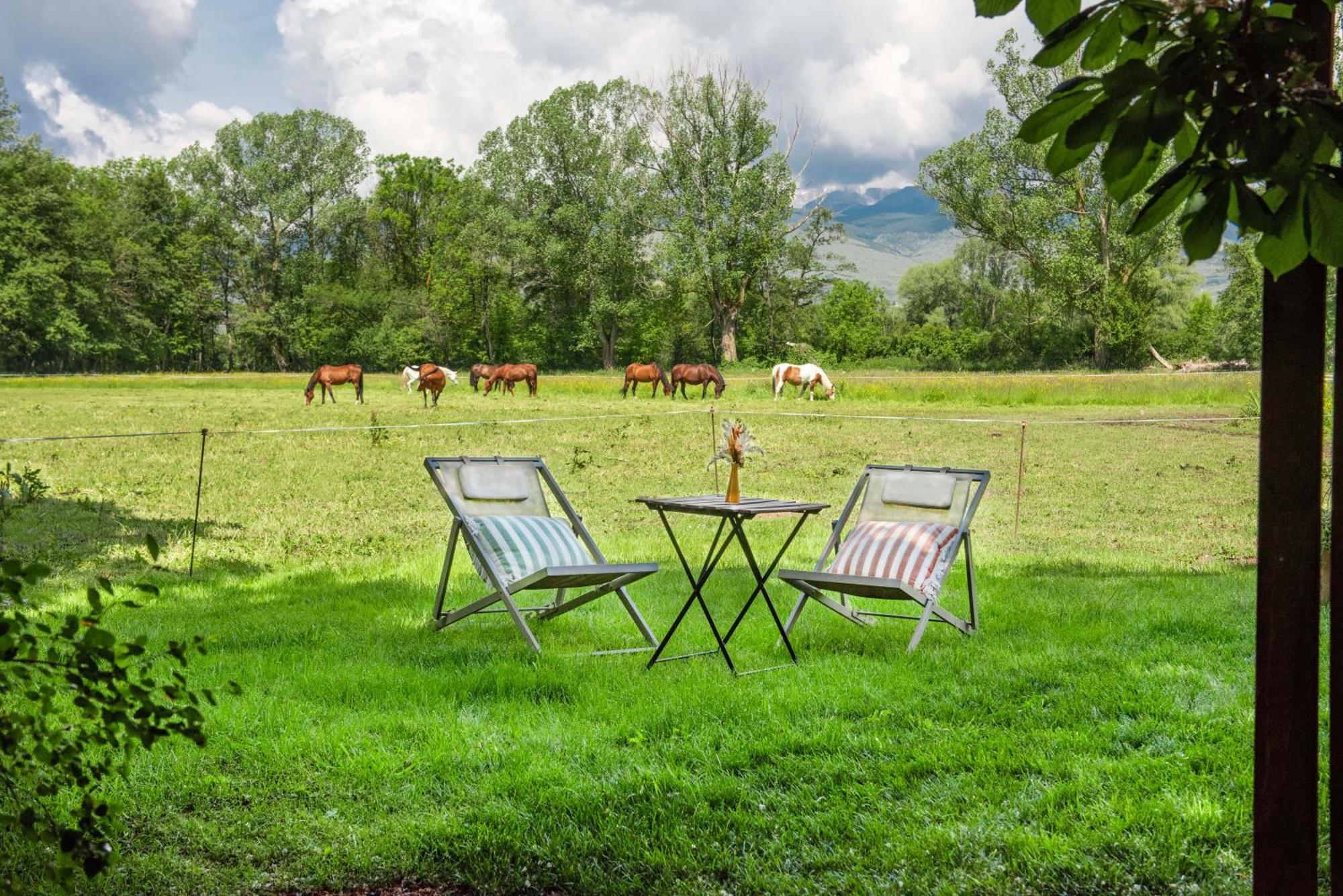 Mas Sant Marc Konuk evi Puigcerdà Oda fotoğraf